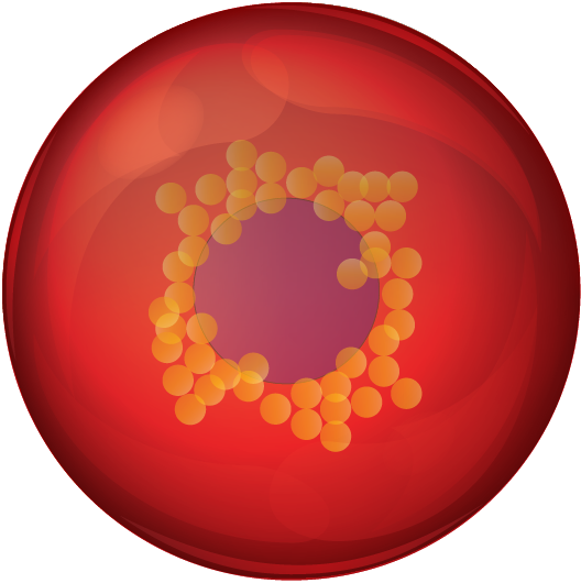 SynCell2020 Virtual Symposium