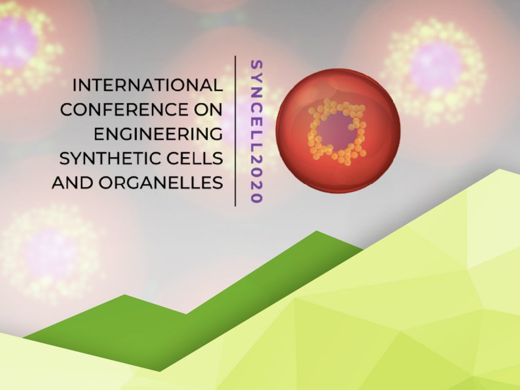 SynCell2020 Virtual Symposium