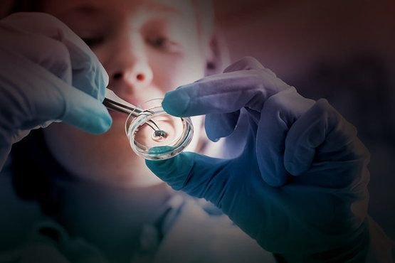 A scientist is holding a pair of tweezers, carefully manipulating a small sample in a petri dish. The scientist is wearing blue gloves and is focused on the delicate task.