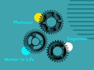 Each Max Planck School is steered by distinguished researchers as Speakers and supported by a head office that is responsible for program implementation and administration of the respective School