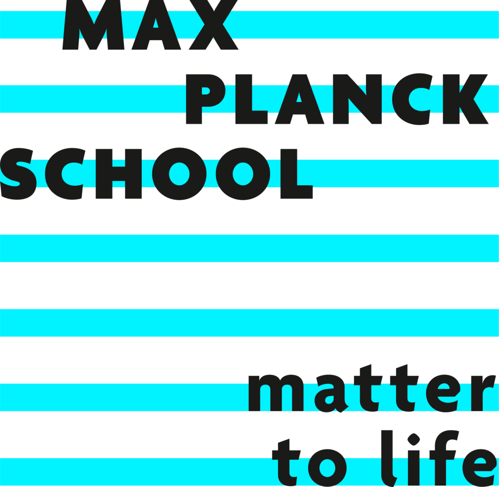 "Das Logo der Max Planck School zeigt den Schriftzug in schwarzer Schrift auf einem Hintergrund aus abwechselnd blauen und schwarzen Streifen."