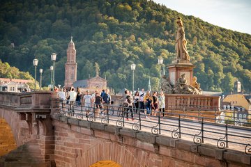 Partner Insights - Matter to Life: Universität Heidelberg