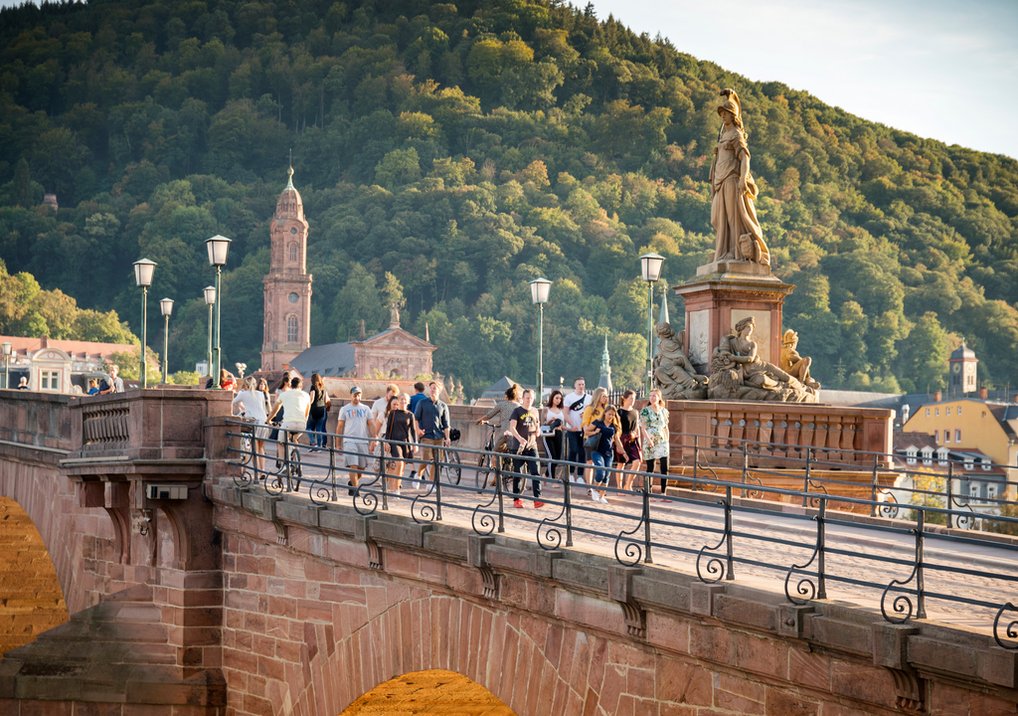 Partner Insights - Matter to Life: Heidelberg University