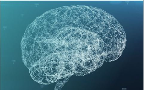 Abstraktes, transparentes Gehirnmodell, bestehend aus vernetzten Linien auf einem blau-grünen Hintergrund, symbolisiert neuronale Vernetzung.