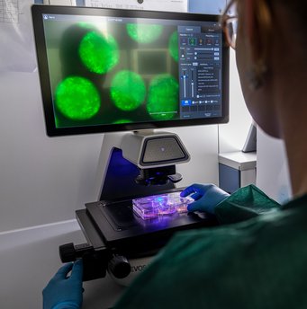 © Max Planck Schools