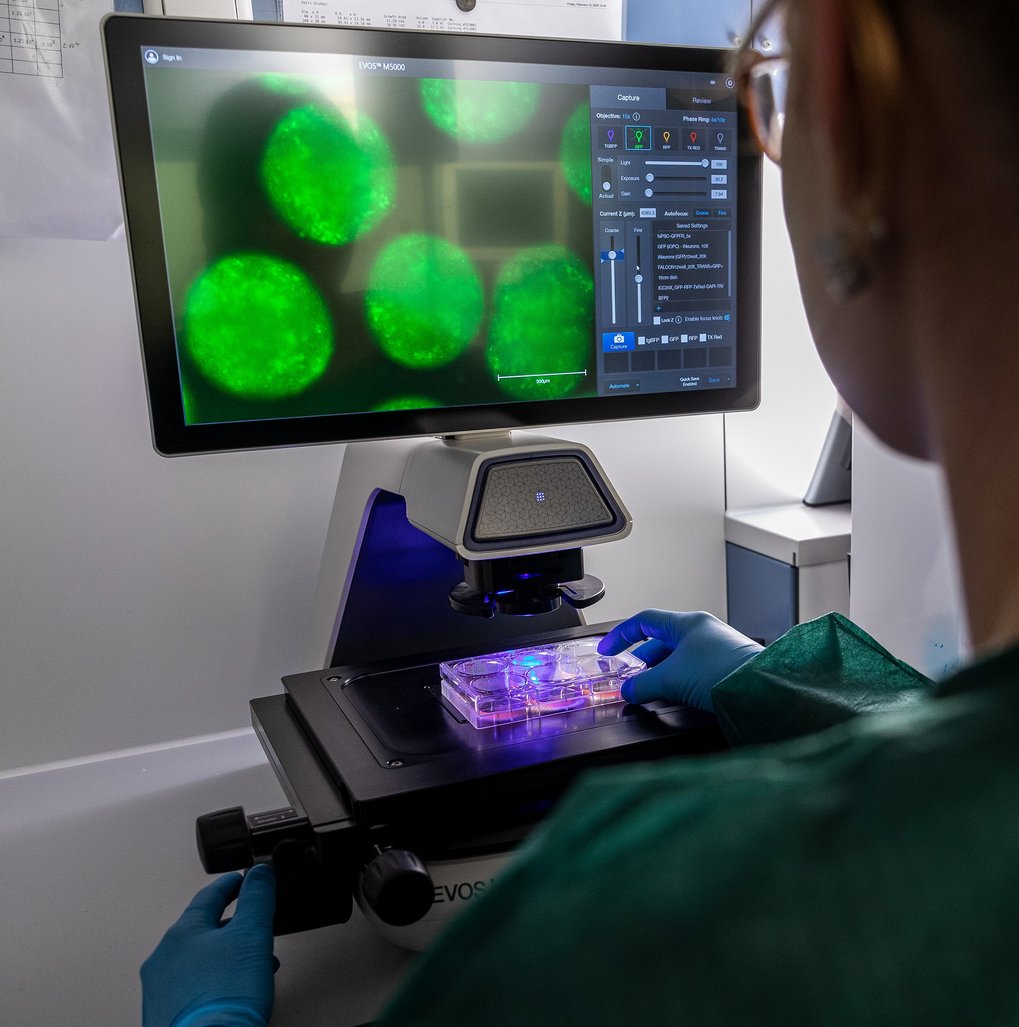 New Clinician Scientist Program