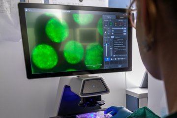 Neues Clinician Scientist Program