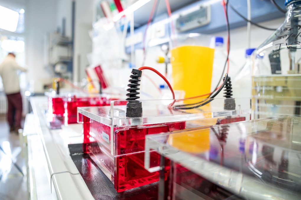 © Max Planck Schools