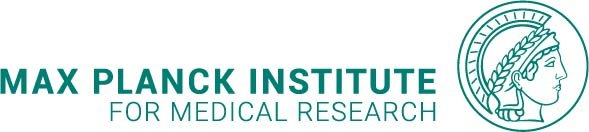 Max-Planck-Institut für medizinische Forschung