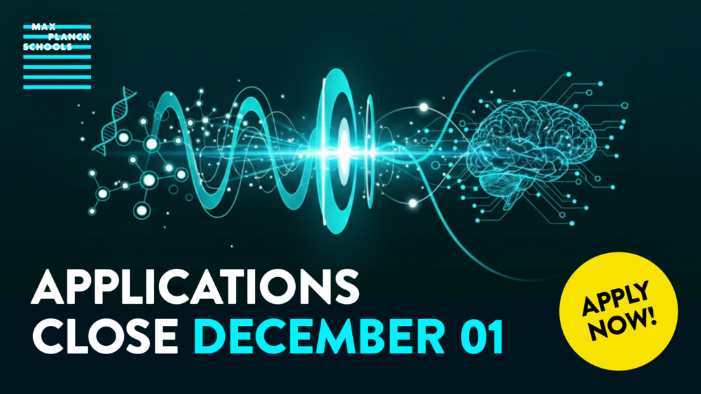 Max Planck Schools logo with brain and DNA illustration, application deadline: December 01, apply now highlighted in yellow circle.