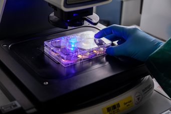 First-class research infrastructure at the Max Planck School Matter to Life