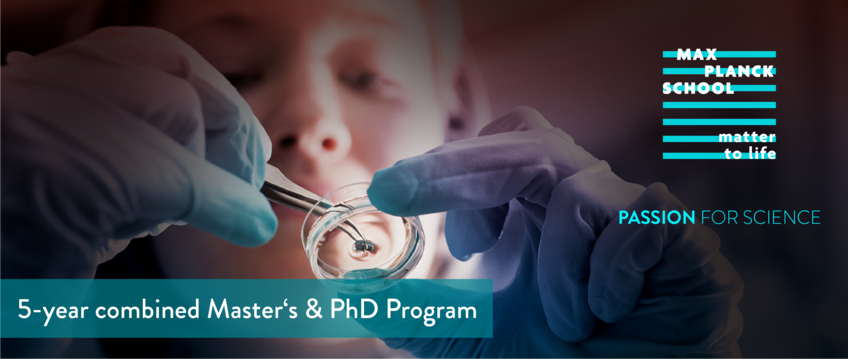 Banner image - Max Planck School Matter to Life Banner image - Max Planck School Matter to Life