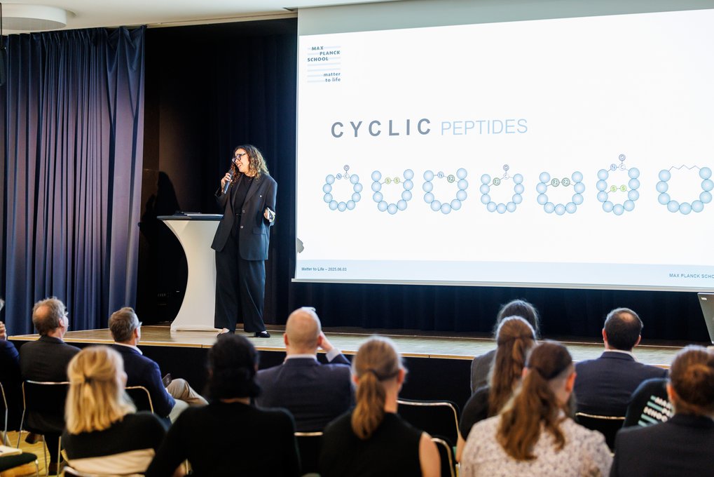 Vortrag über zyklische Peptide mit Diagrammen auf einer Leinwand.