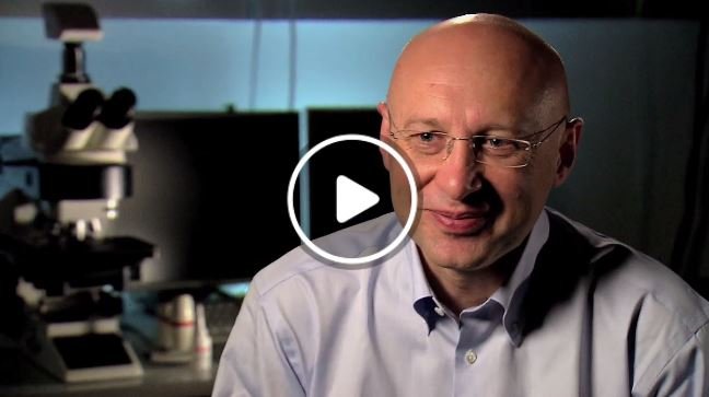 Insights into the nanoworld